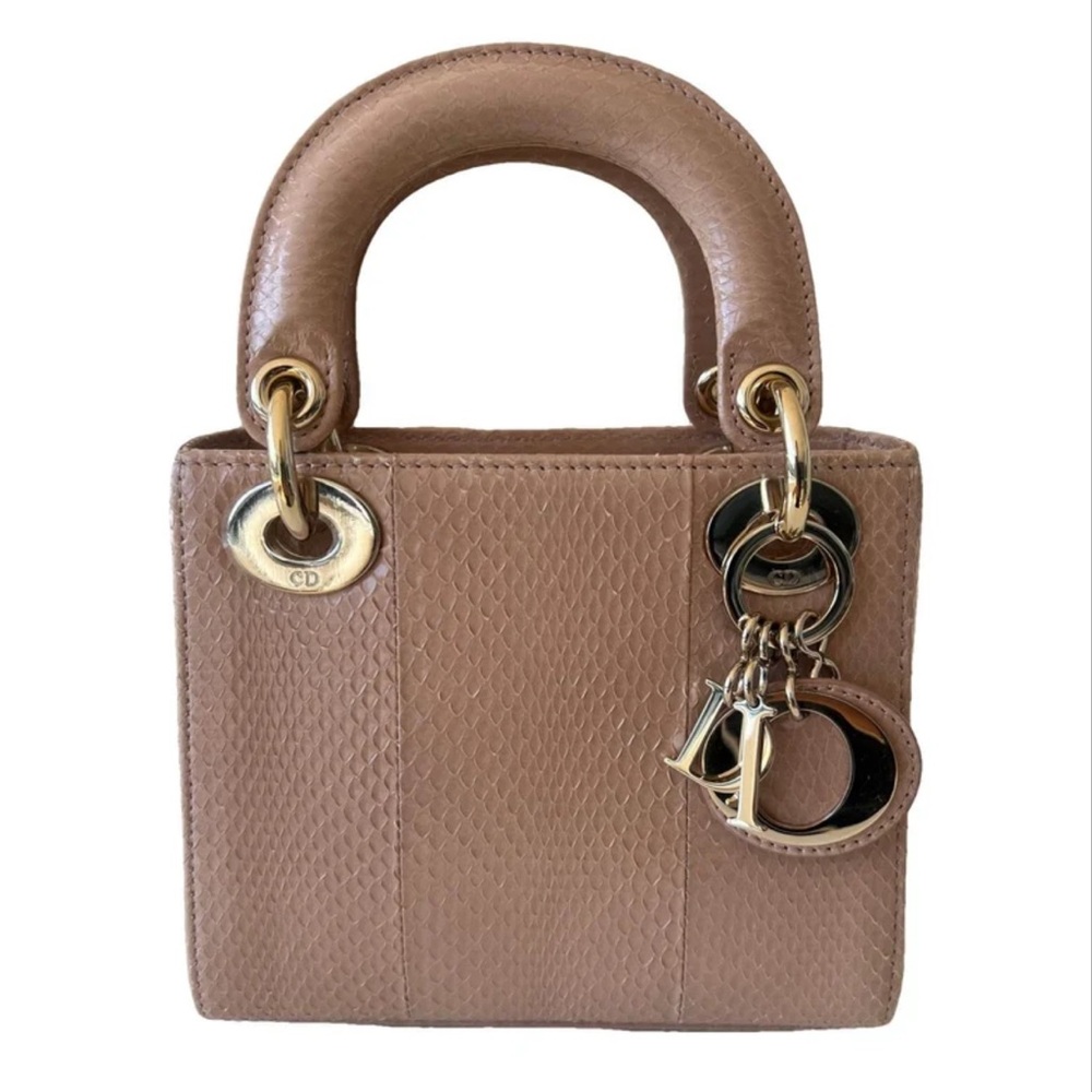 Lady Dior Mini Exotic - Excellent condition!